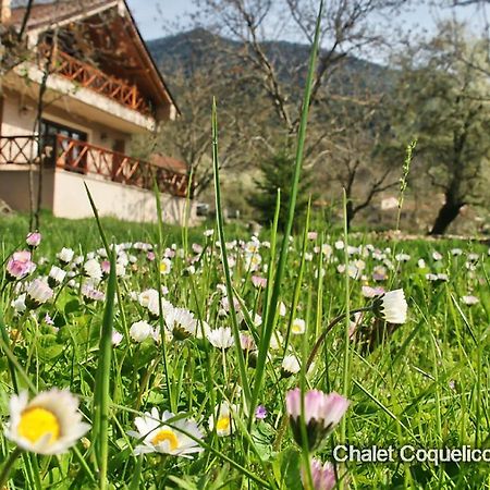 Chalet Coquelicot Kalavryta Exterior foto